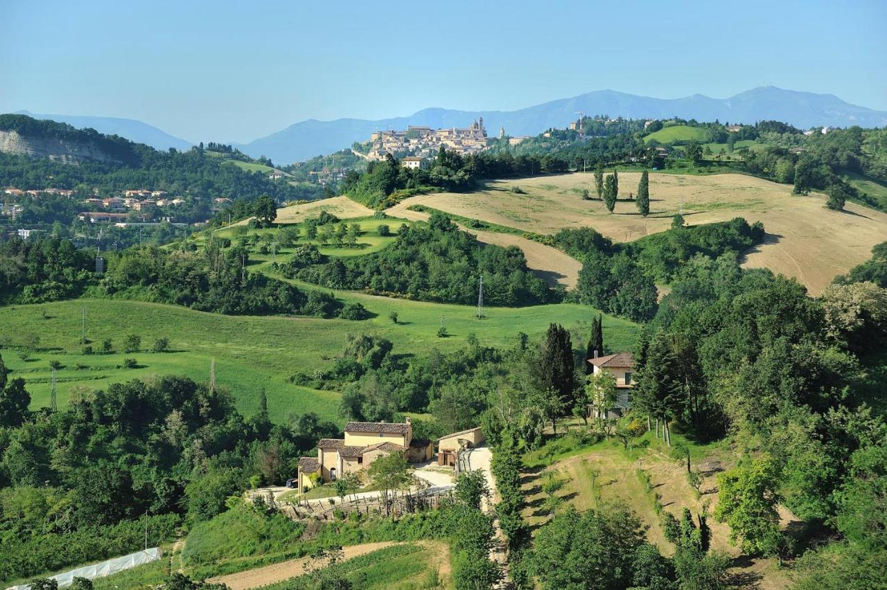 Country House Ca' Vernaccia Pensionat Urbino Exteriör bild