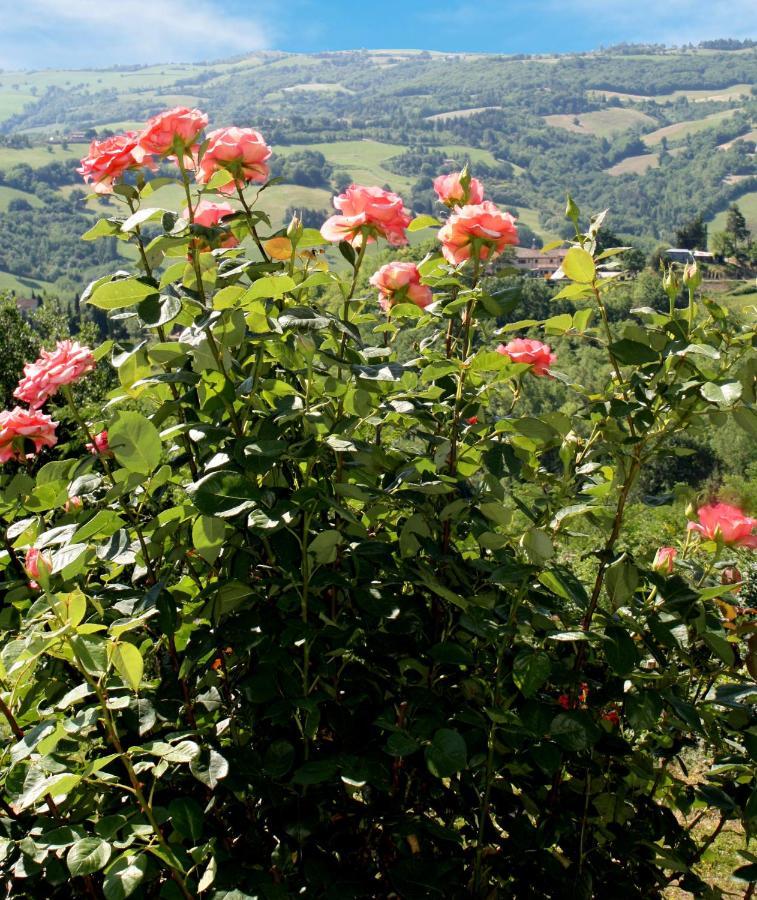 Country House Ca' Vernaccia Pensionat Urbino Exteriör bild
