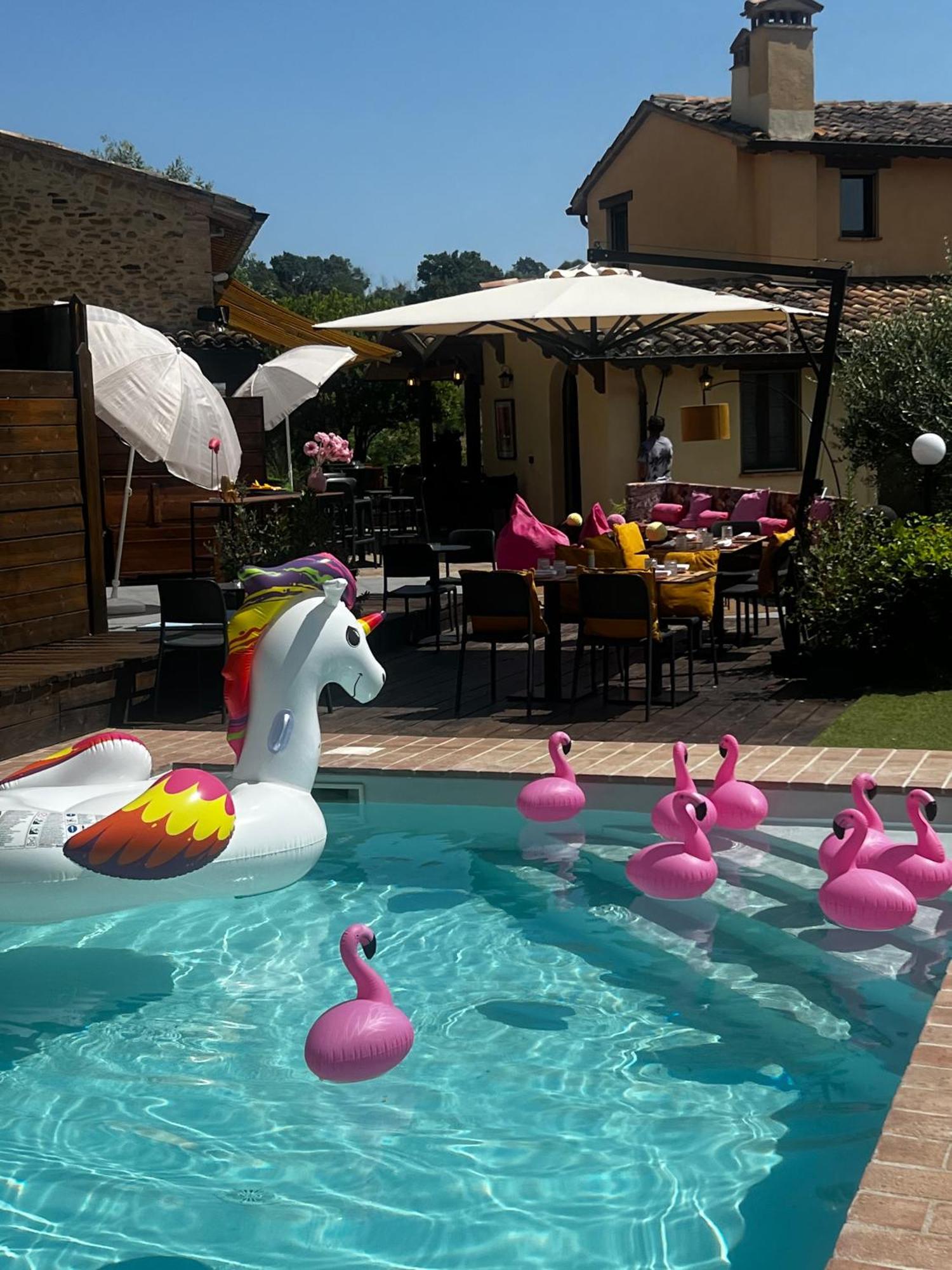 Country House Ca' Vernaccia Pensionat Urbino Exteriör bild