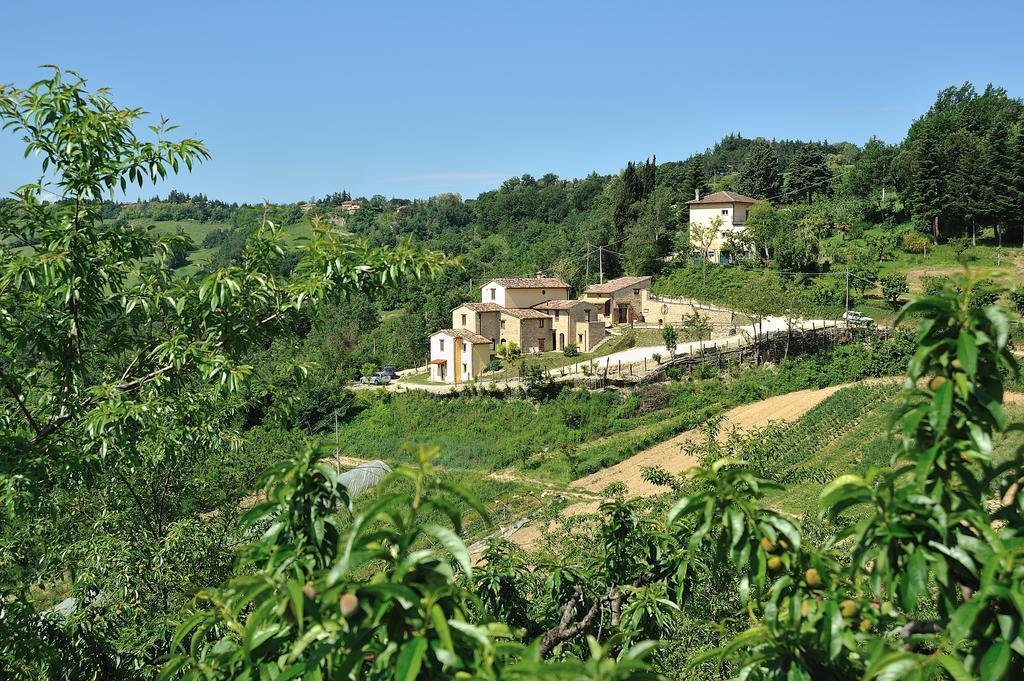 Country House Ca' Vernaccia Pensionat Urbino Exteriör bild