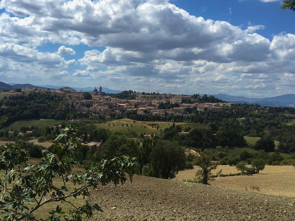 Country House Ca' Vernaccia Pensionat Urbino Exteriör bild